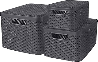 Ensemble de 3 paniers avec couvercles style curver, tailles s 7l, m 18l