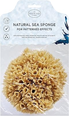 Éponge de mer naturelle hydraa london pour peinture extra large avec côté