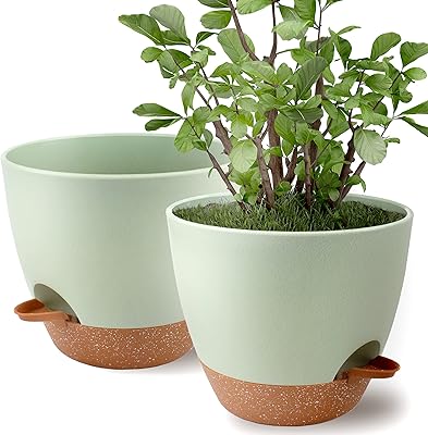 Pot de fleurs de 9 pouces, paquet de 2, pots de fleurs à
