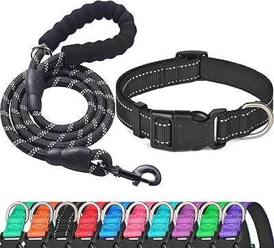 Collier pour chien réfléchissant ladoogo rembourré de néoprène doux colliers en nylon réglables
