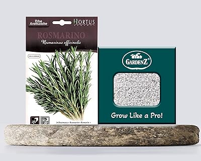 Graines de romarin | modèle cod.bgaros001 marque hortus | origine italie + boîte