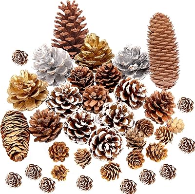37 pièces pommes de pin naturelles pour arbre de noël, grandes et petites pommes de pin blanches, argent, or, artisanat, couronne de noël d'automne, décoration d'arbre. Le meilleur rapport qualité-prix du web sénégalais sur Diaytar