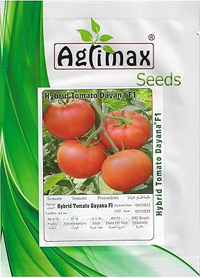 Graines de tomates dayana f1 de haute qualité fabriquées en espagne