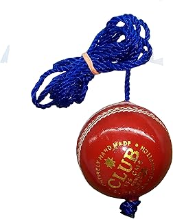 Balle de cricket en cuir à suspendre diablo club