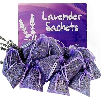 Sachet de lavande 5a 10 g 24 pièces sachets de fleurs séchées au