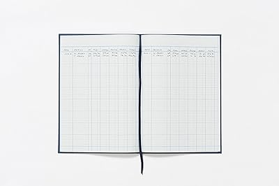 Livre de comptes exacompta guildhall 298x203 mm 5 colonnes de caisse bleu