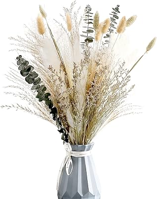 Bouquet de fleurs séchées naturelles, branches d'herbe de pampa blanches de 17 pouces