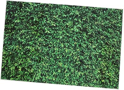 Fond de photographie en tissu végétal vert mosesali fond printemps toile