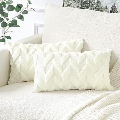 Lot de 2 taies d'oreiller en velours polaire doux, taies d'oreiller de luxe