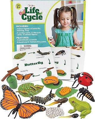 Glinglong life cycle kit toy montessori - jouets figurines réalistes, ensemble d'association d'animaux pour enfants avec grenouille, coccinelle et papillon - comprend 12 pièces. jeu d'association éducatif et amusant pour les enfants de 3 ans et plus. Diaytar : Connectez-vous aux meilleures offres