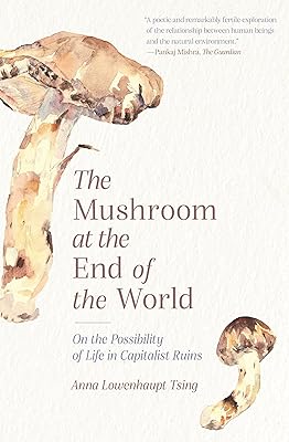 Le champignon du bout du monde : sur les possibilités de vie