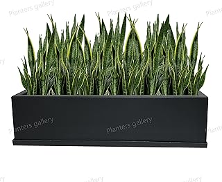 Jardinière rectangulaire moderne en fibre de verre/pot de fleurs d'intérieur et d'extérieur
