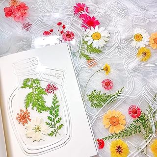 Ensemble de 68 marque-pages en forme de fleurs séchées faites à la main, colchick en plastique transparent pour la fabrication de marque-pages de fleurs et d'une bouteille à dérive transparente. Diaytar : L'intelligence commerciale au service du client