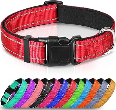 Collier réfléchissant pour chien joytail, collier rembourré en néoprène respirant, réglable pour chiens