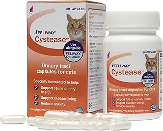 Capsules feliway cystase, pour les problèmes de vessie liés au stress chez