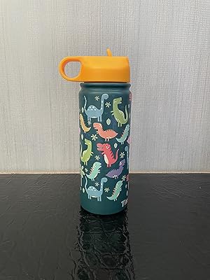 Bouteille d'eau isotherme en acier anti-fuite pour enfants avec paille (dino)