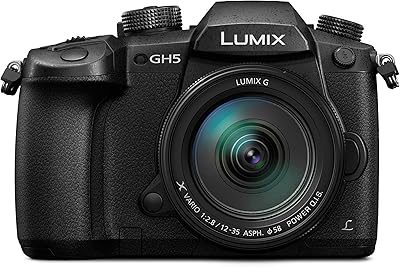 Appareil photo 4k sans miroir panasonic lumix gh5 203 mp avec objectif