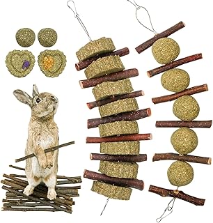 Jouets à mâcher roundler pour petits animaux bâtonnets de pomme gâteau d'herbe