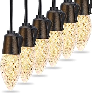 Gosodor guirlande lumineuse extérieure de 45 pieds, incassable et étanche avec 20 ampoules