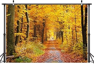 Lywygg 7x5ft fond d'automne chemin de montagne feuilles tombées paysage à feuilles caduques