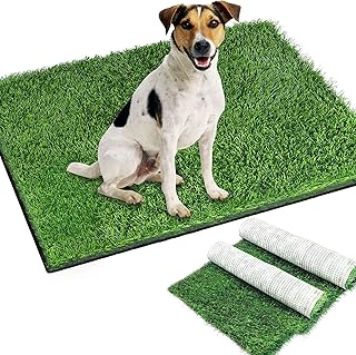 Coussin d'entraînement de toilette synthétique pour chien 2 pièces pot d'herbe pour chien