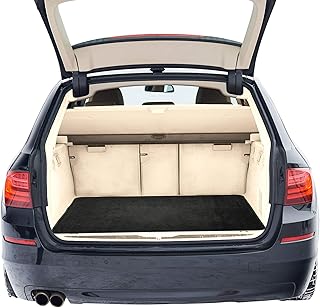 Tapis de voiture de luxe noir fh group f16409black32 s'adapte à la plupart