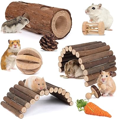 Ensemble de jouets à mâcher pour hamster, jouets et accessoires de cage
