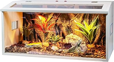 Réservoir de terrarium prolee pour reptiles grand réservoir de dragon barbu mis à