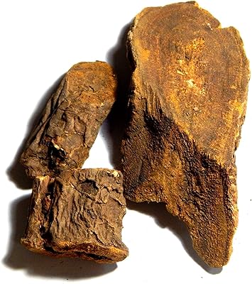 Revanshini lakdi - racines de revanchini - revanchini gad - racines de rhubarbe - rhubarbe khatai - rhubarbe khatai - room emodi (100 grammes). Diaytar : L'intelligence commerciale au service du client