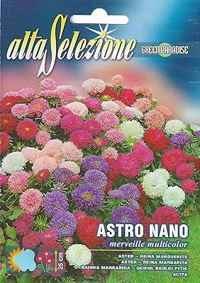 Graines de silicone nano ester multicolores de haute qualité (fabriquées en italie)