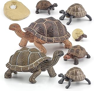 Ensemble de 8 modèles de cycle de vie de tortues et d'animaux sauvages