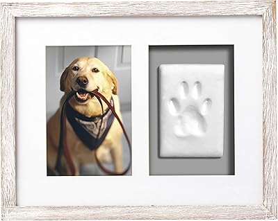 Ensemble de cadres photo muraux pearhead pet paw avec argile, cadeau