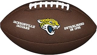 Logo composite de l'équipe nfl