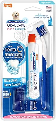 Kit de soins bucco-dentaires avancés nylabone pour chiots, multicolore, 3 pièces