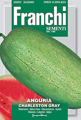 Graines de pastèque grise franchi ingoria charleston