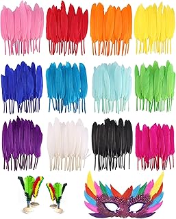 600 pièces plumes d'oie colorées bricolage, plumes kulczyk de 4 à 6 pouces