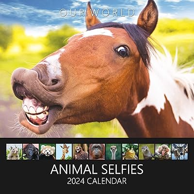 Calendrier mural 2024 our world avec selfies d'animaux - planificateur familial amusant