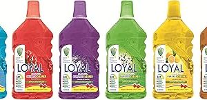 Nettoyant de surface loyal 4 en 1, 2400 ml, paquet de 6. Révolutionnez votre façon d'acheter avec Diaytar