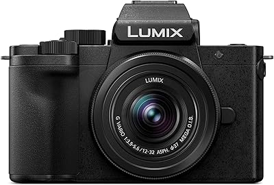 Appareil photo sans miroir panasonic lumix g100 4k pour photo et vidéo, microphone