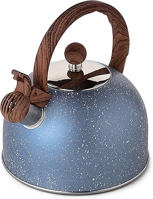 Bouilloire à thé 2,5 l, bouilloire à eau avec sifflet, théière en acier