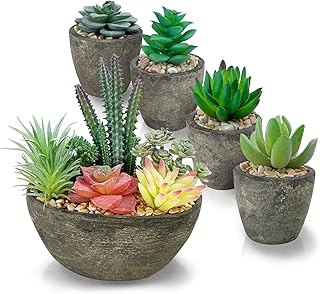 Ensemble de plantes succulentes artificielles 5 pièces, plantes succulentes artificielles réalistes