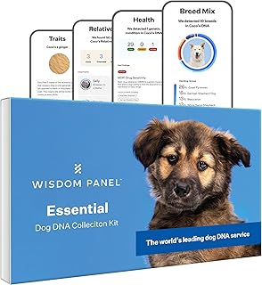 Le kit de test adn pour chien le plus précis de wisdom