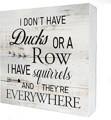 Citation drôle de bureau, je n'ai pas de canards ou une rangée, panneau