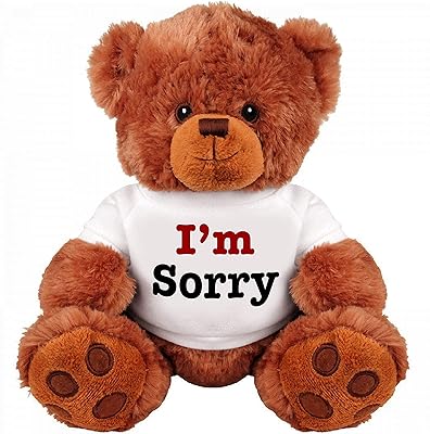 Ours en peluche je suis désolé - mignon et câlin : joli cadeau pour couple : ours en peluche romantique de taille moyenne. Shoppez futé, shoppez Diaytar Sénégal