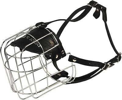 Masque panier métallique dean & tyler taille n° 12 saint