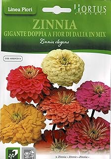 Graines de mélange hortus zinnia