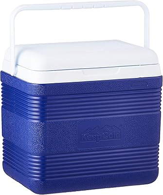 Glacière cosmoplast en plastique qui garde les aliments au frais, capacité 18 litres