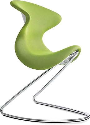 Chaise ergonomique iris oyo pour la maison et le bureau avec un design