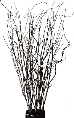 Felix 10 pièces de branches de saule bouclées et vibrantes brindilles séchées