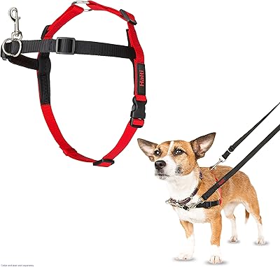 Harnais pour chien à commande frontale halti harnais sans traction pour petits chiens